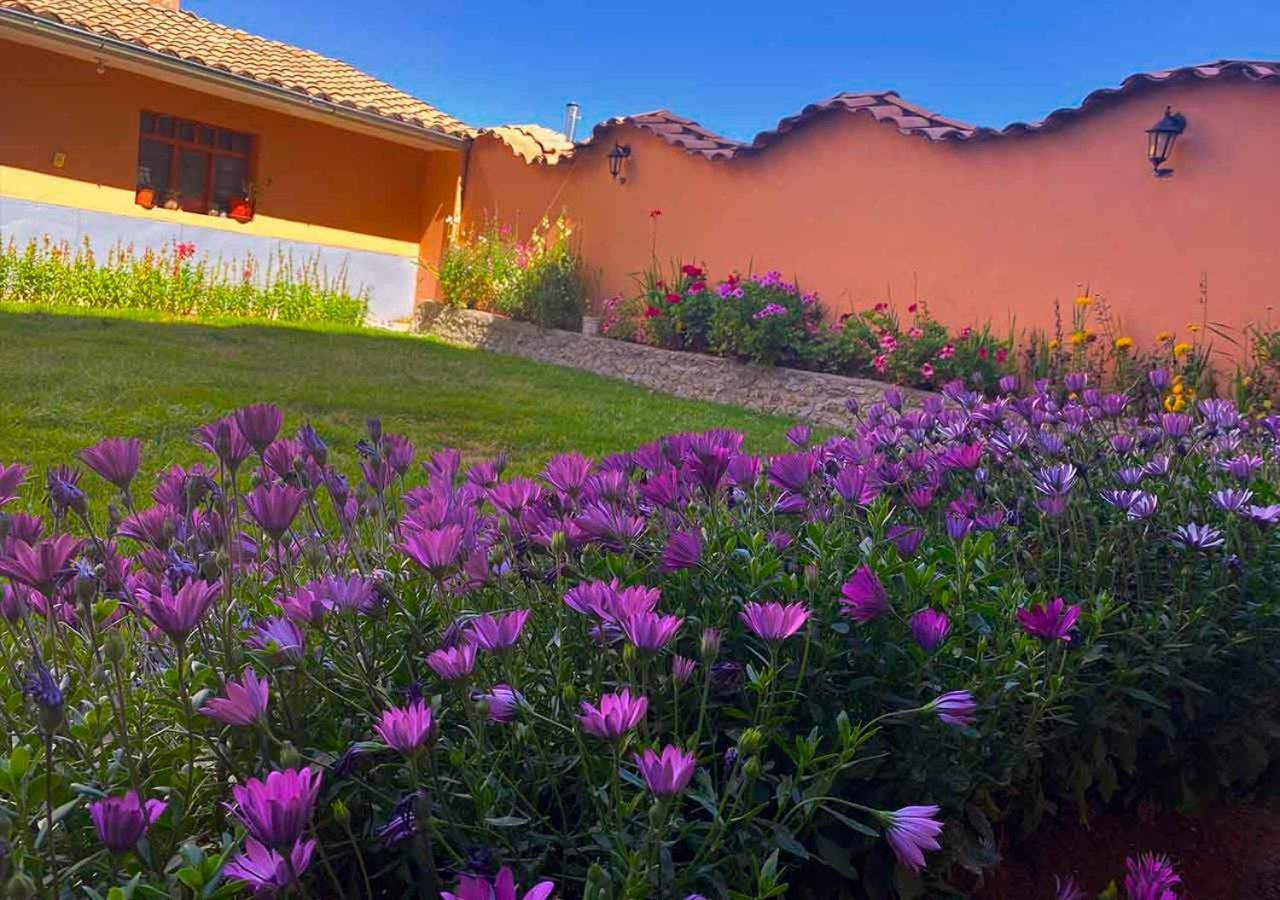 Hotel Chinchero Boutique & Tours Chincheros (Cusco) Eksteriør billede